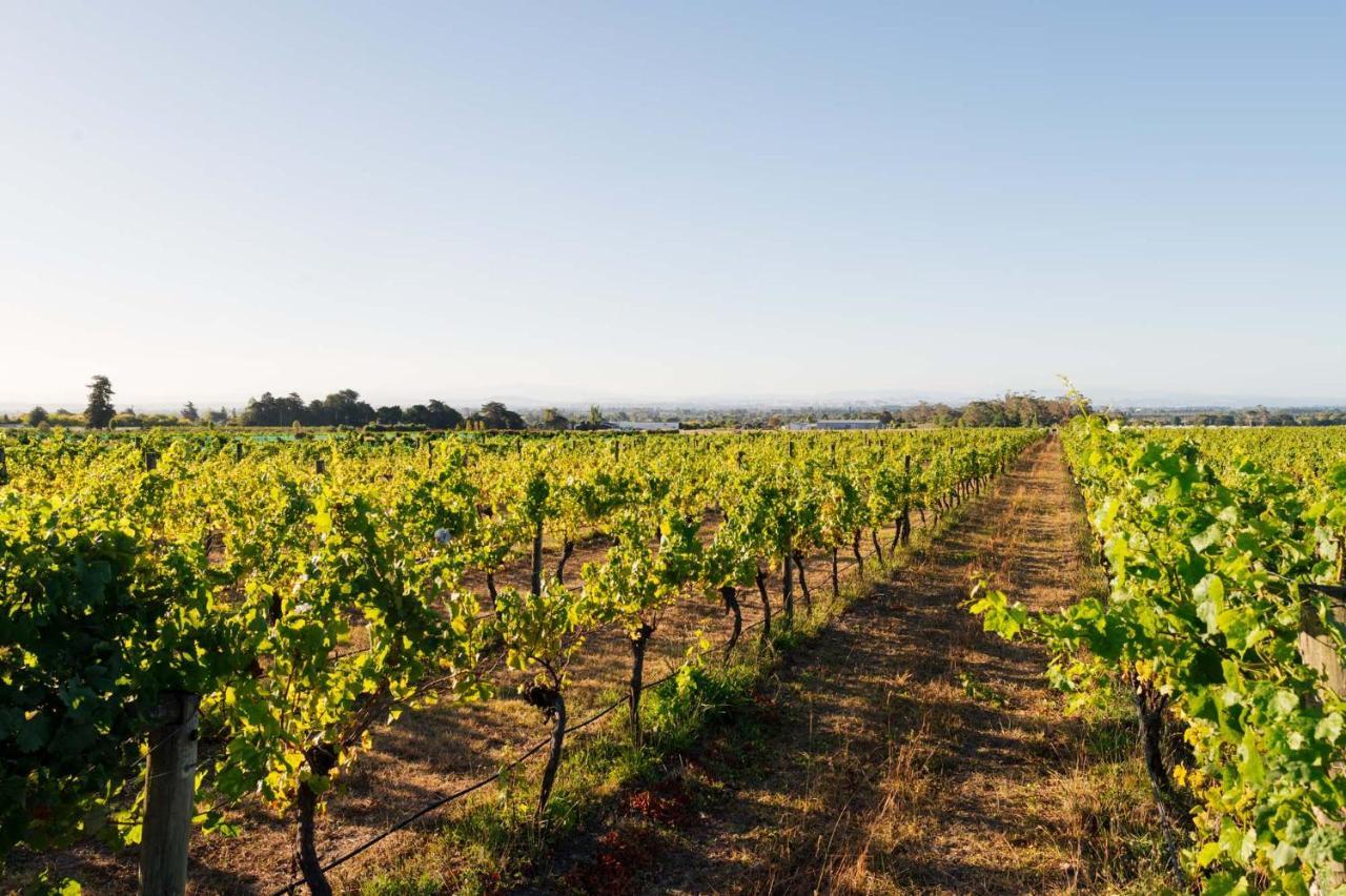 305 In The Vines Villa Havelock North Bagian luar foto