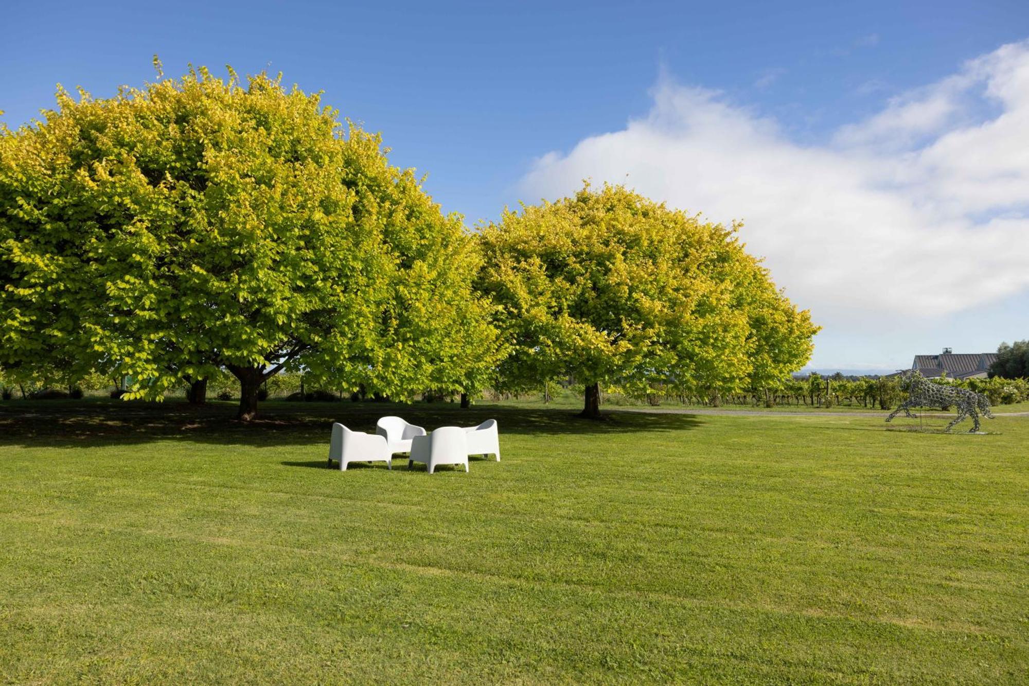 305 In The Vines Villa Havelock North Bagian luar foto