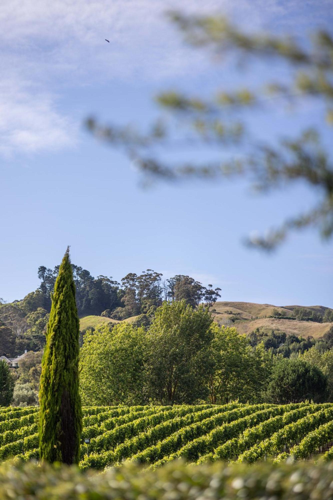 305 In The Vines Villa Havelock North Bagian luar foto